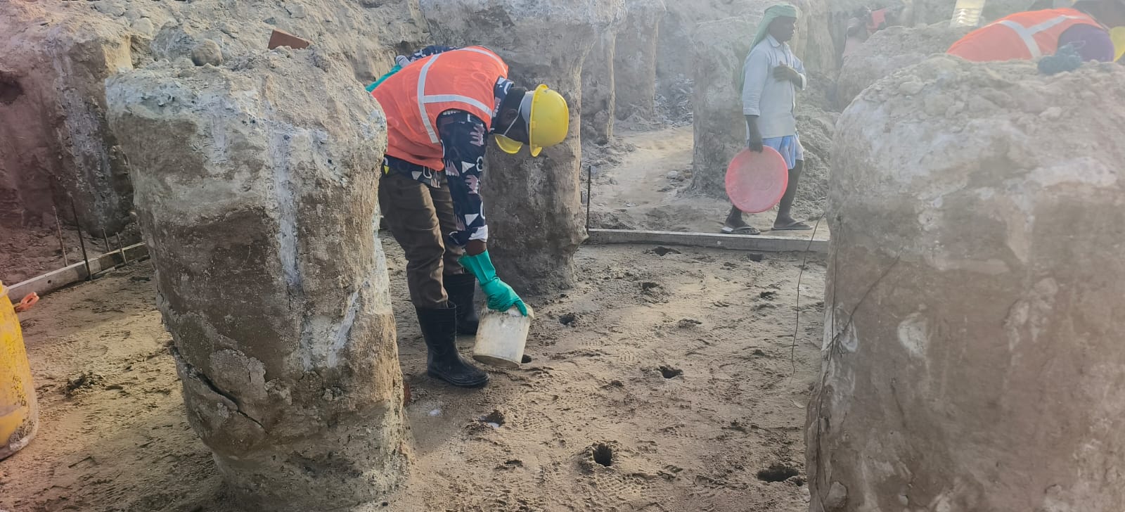 General Pest control